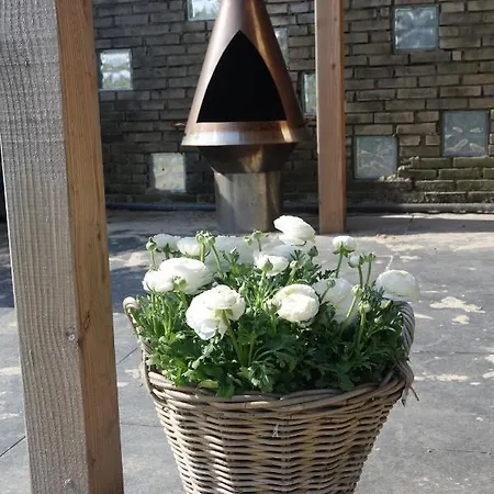 Hotel Het Anker Texel De Cocksdorp (Texel)