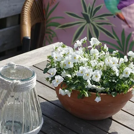 Hotel Het Anker Texel 3*