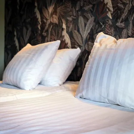 Het Anker Van Texel 3* دي كوكْسدوربْ