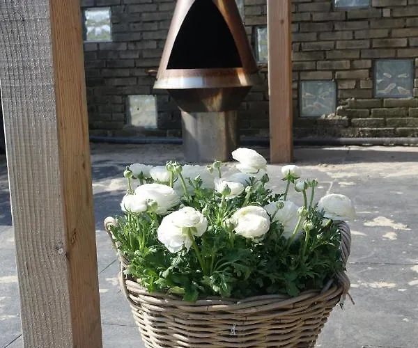 Hotel Het Anker Texel De Cocksdorp (Texel)