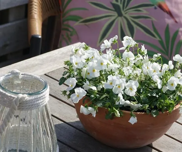 Hotel Het Anker Texel 3*